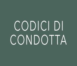 Codici di Condotta